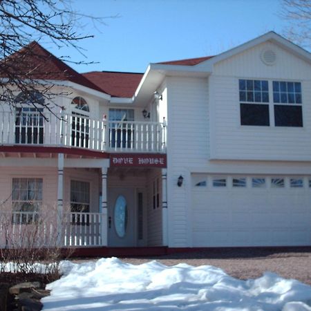 Dove House Bed & Breakfast Harbourside North Sydney Εξωτερικό φωτογραφία