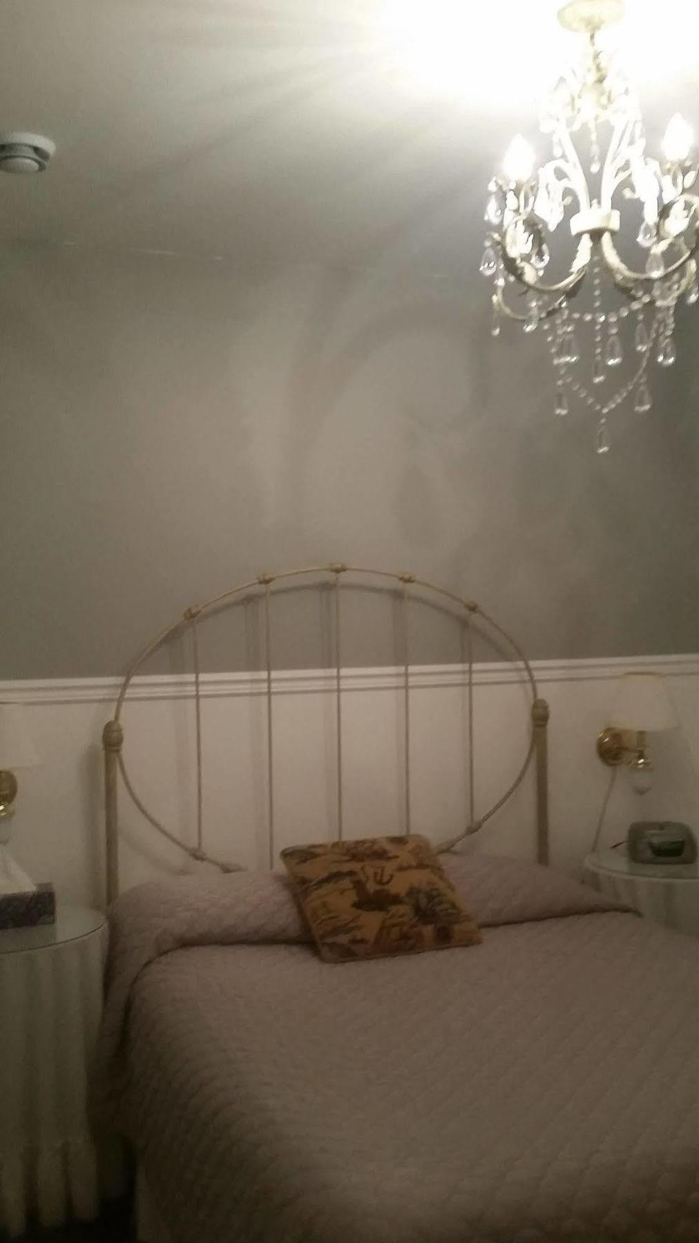 Dove House Bed & Breakfast Harbourside North Sydney Εξωτερικό φωτογραφία